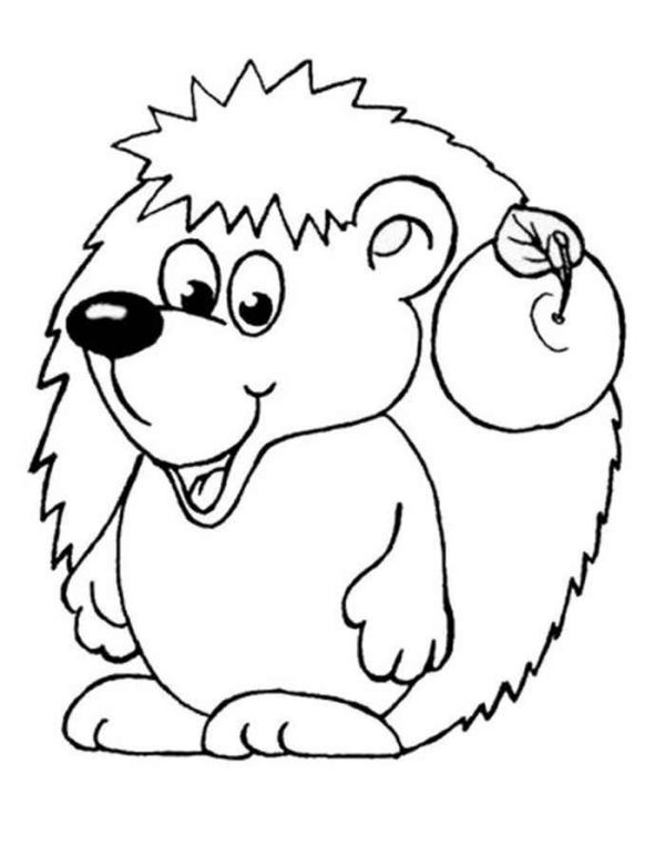 Disegno di riccio