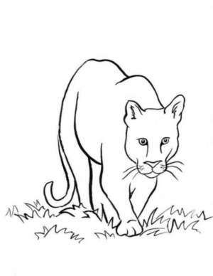 Disegno di leone da stampare e colorare 48