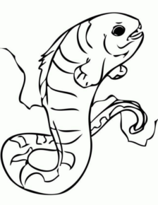 Disegno di pesce da stampare e colorare 299