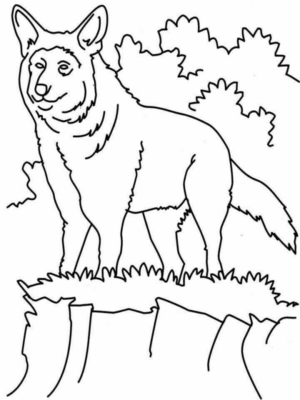 Disegno di lupo da stampare e colorare 72
