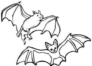Disegno di pipistrello da stampare e colorare 7