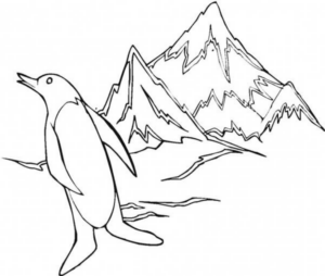 Disegno di pinguino da stampare e colorare 24