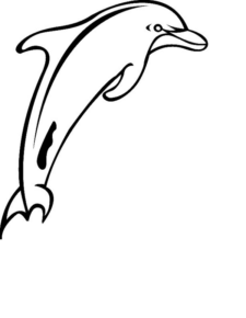 Disegno di delfino da stampare e colorare 59