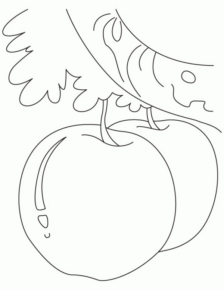 Disegno di mela da stampare e colorare 41