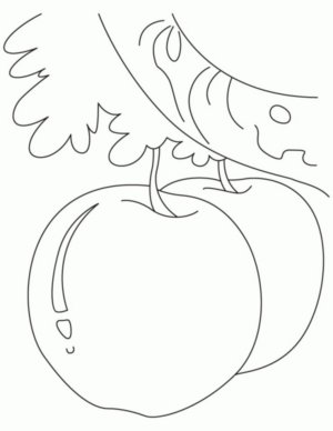 Disegno di mela da stampare e colorare 41