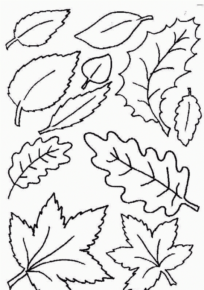 Disegno di foglia da stampare e colorare 93