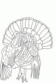 Disegno di tacchino da stampare e colorare 45
