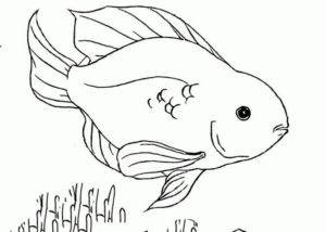Disegno di pesce da stampare e colorare 308
