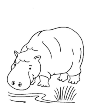 Disegno di ippopotamo da stampare e colorare 29