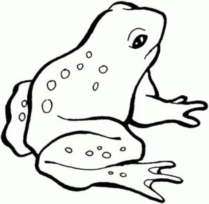 Disegno di rana da stampare e colorare 39