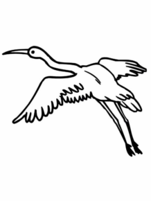 Disegno di fenicottero da stampare e colorare 19