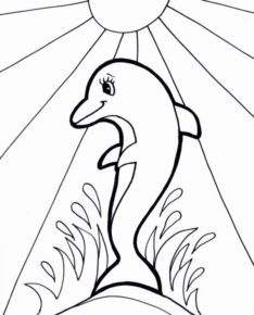 Disegno di delfino da stampare e colorare 2