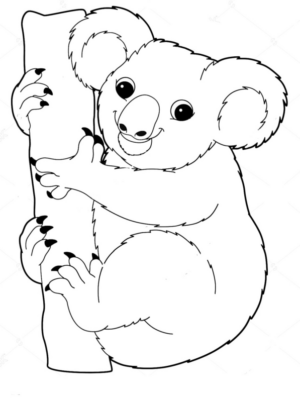 Disegno di koala da stampare e colorare 24
