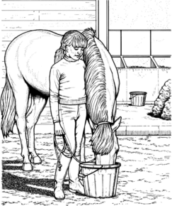 Disegno di cavallo da stampare e colorare 261