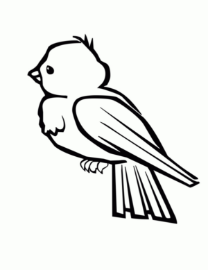 Disegno di uccello da stampare e colorare 113