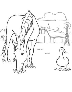 Disegno di cavallo da stampare e colorare 20
