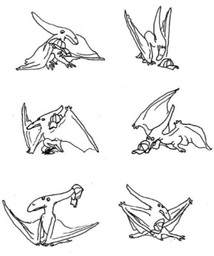 Disegno di Pterodattilo da stampare e colorare 4
