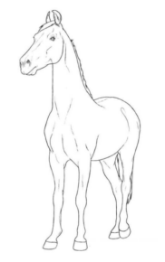 Disegno di cavallo da stampare e colorare 108