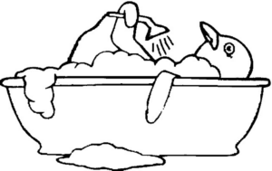 bagno33809.jpg