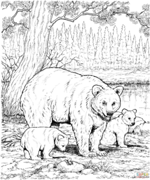Disegno di orso da stampare e colorare 140