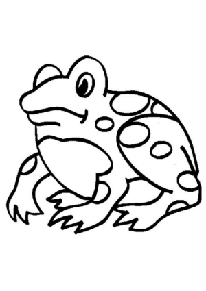 Disegno di rana da stampare e colorare 49
