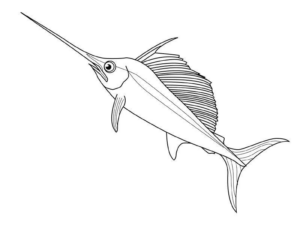 Disegno di pesce da stampare e colorare 325