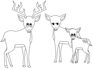 Disegno di cervo da stampare e colorare 13