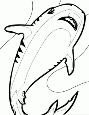 Disegno di squalo da stampare e colorare 63