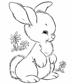 Disegno di coniglio da stampare e colorare 10