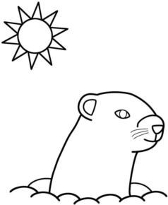 Disegno di lontra da stampare e colorare 6