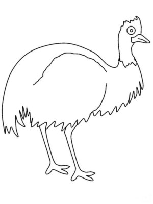 Disegno di uccello da stampare e colorare 40