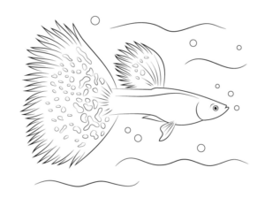 Disegno di pesce da stampare e colorare 158