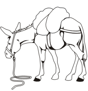 Disegno di asino da stampare e colorare 3