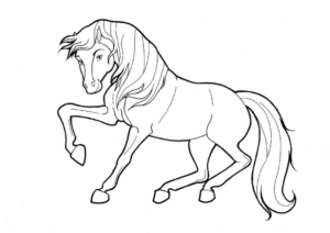 Disegno di cavallo da stampare e colorare 153