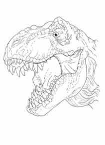 Disegno di Tirannosauro da stampare e colorare 99