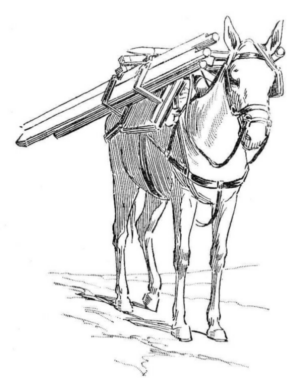 Disegno di cavallo da stampare e colorare 3