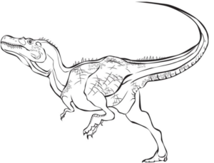 Disegno di Velociraptor da stampare e colorare 18