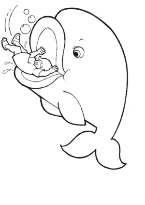 Disegno di delfino da stampare e colorare 61