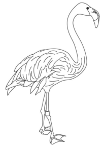 Disegno di fenicottero da stampare e colorare 35