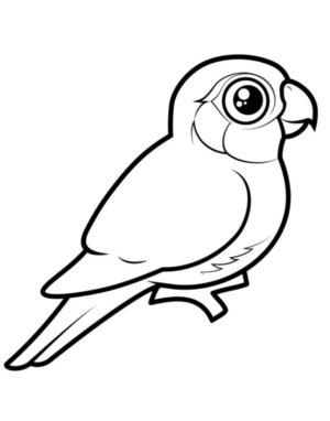 Disegno di pappagallo da stampare e colorare 79