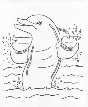 Disegno di delfino da stampare e colorare 58