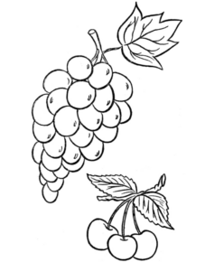 Disegno di uva da stampare e colorare 3