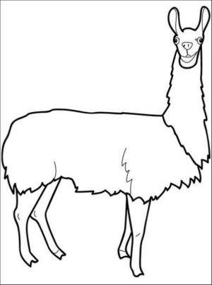 Disegno di lama da stampare e colorare 4