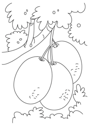 Disegno di kiwi da stampare e colorare 4