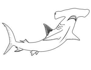 Disegno di squalo da stampare e colorare 20