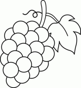 Disegno di uva da stampare e colorare 34