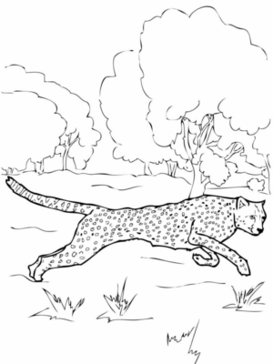 Disegno di leopardo da stampare e colorare 58