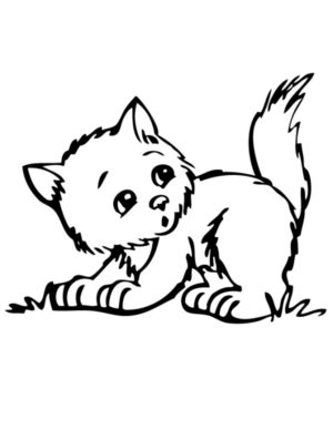 Disegno di gatto da stampare e colorare 167