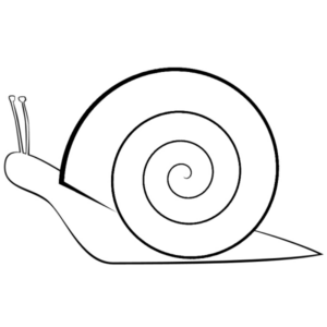 Disegno di lumaca da stampare e colorare 1