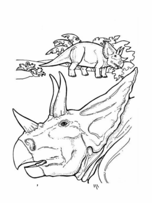 Disegno di Triceratopo da stampare e colorare 62